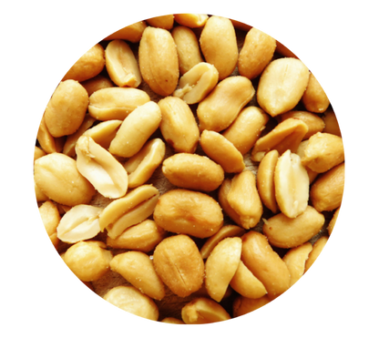 Roasted Unsalted Blanched Peanuts